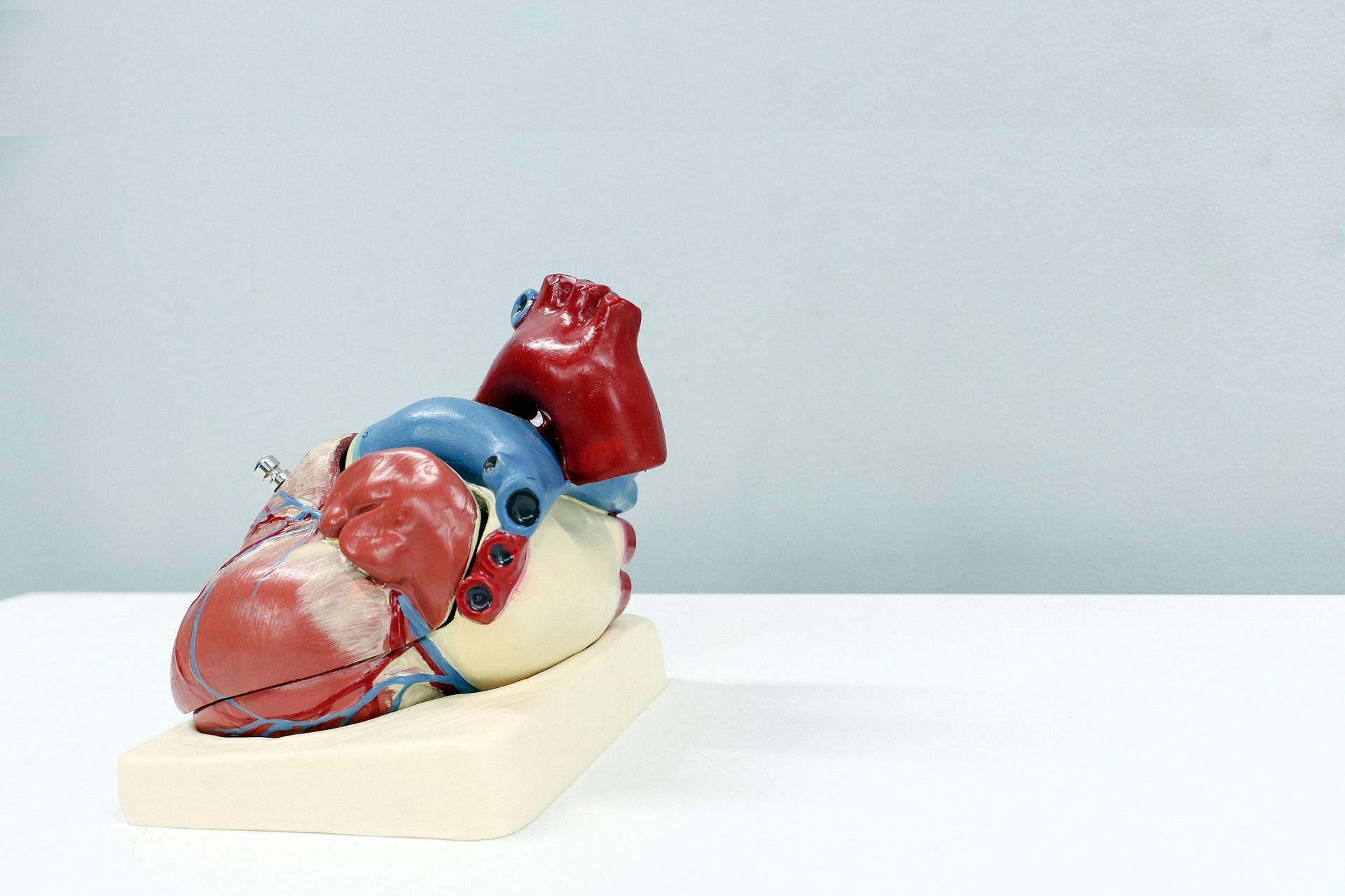 Stress can increase the risk of heart disease. (Image via Unsplash/Ali Hajiluyi)